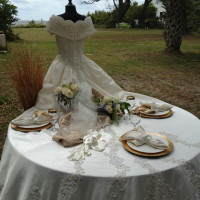 Let Us Dress Your Table!